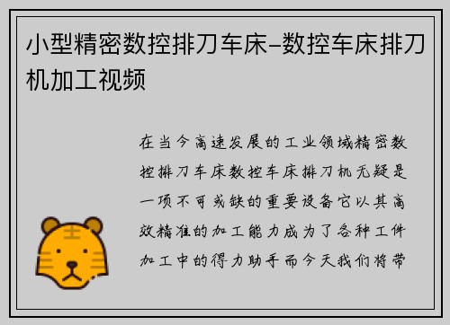 小型精密数控排刀车床-数控车床排刀机加工视频